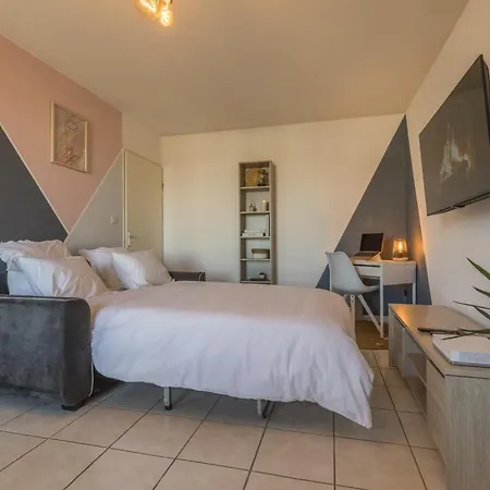 Apartment Spacieux Proche Aeroport Et Airbus Toulouse